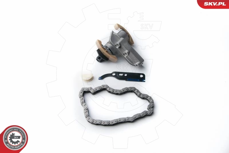 Timing Chain Kit
